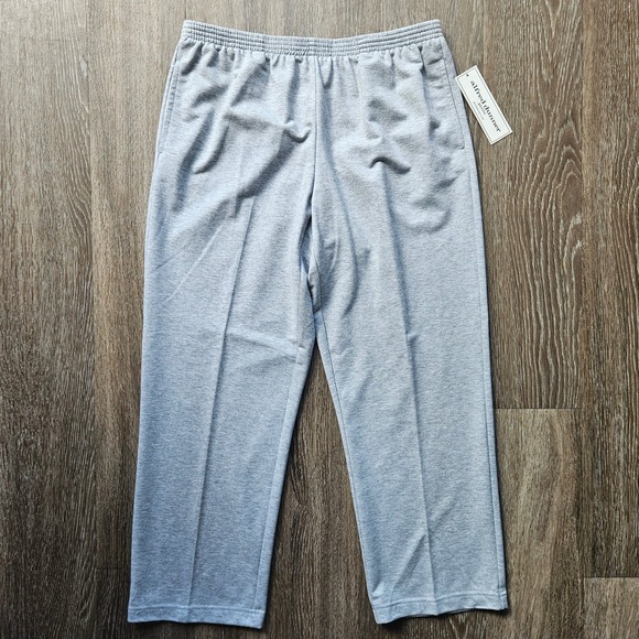 Alfred Dunner Petite Classic Fit Comfort Pull On Pants Trousers Gray PM - Picture 1 of 4